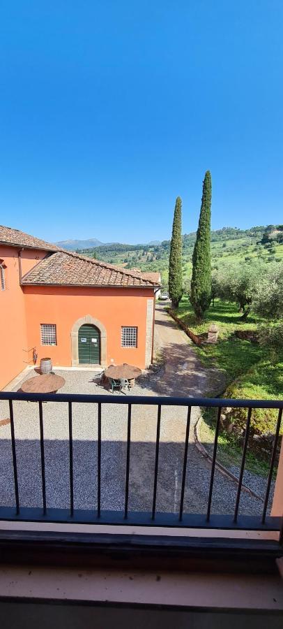 Agriturismo Villa Sardini Лукка Экстерьер фото