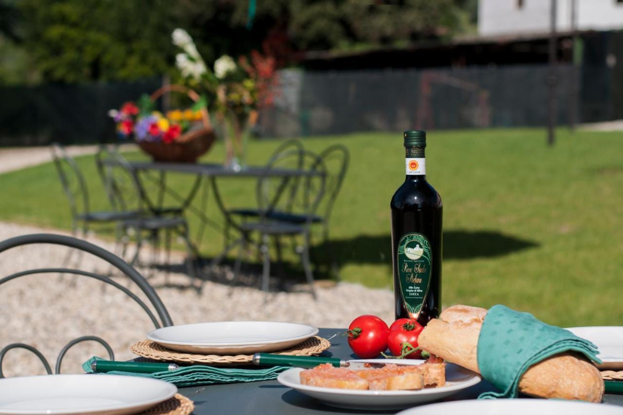 Agriturismo Villa Sardini Лукка Экстерьер фото