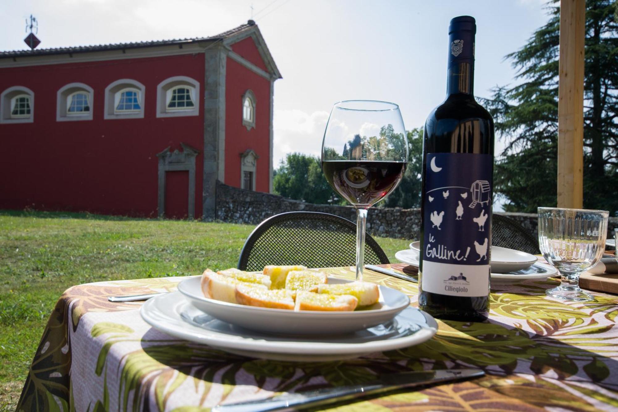 Agriturismo Villa Sardini Лукка Экстерьер фото