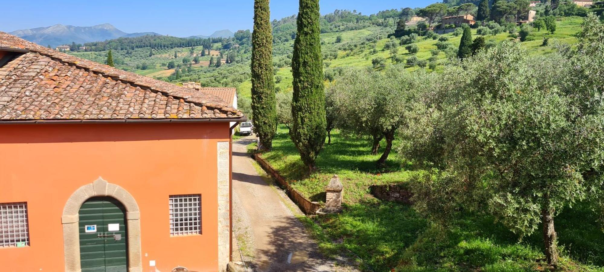 Agriturismo Villa Sardini Лукка Экстерьер фото